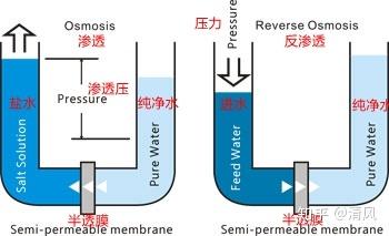 滤膜过滤器示意图