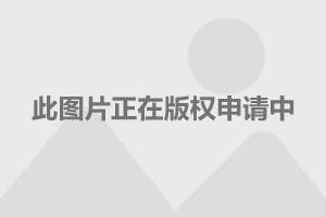 美国船型汽车,美国船型汽车与快速落实响应方案，Gold29.82.35的创新融合,重要性解析方法_V85.40.78