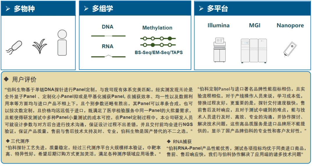 上海生工引物合成,上海生工引物合成与精细设计解析，入门版,深入解析设计数据_锓版98.78.98