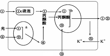 石灰活性度检测方法