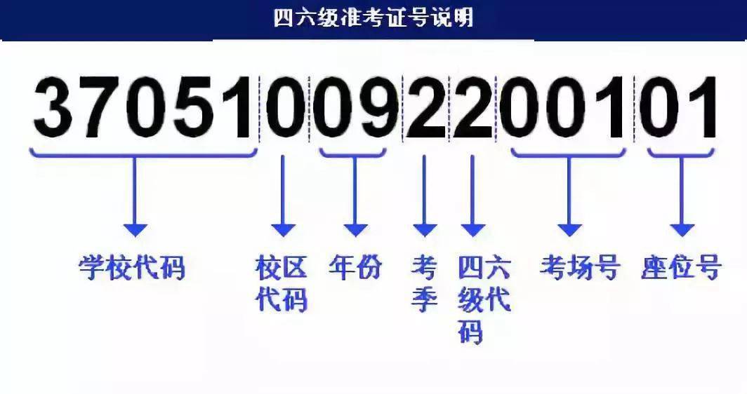 澳门最快开奖站118186