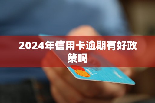 新澳门开奖记录查询2024年份