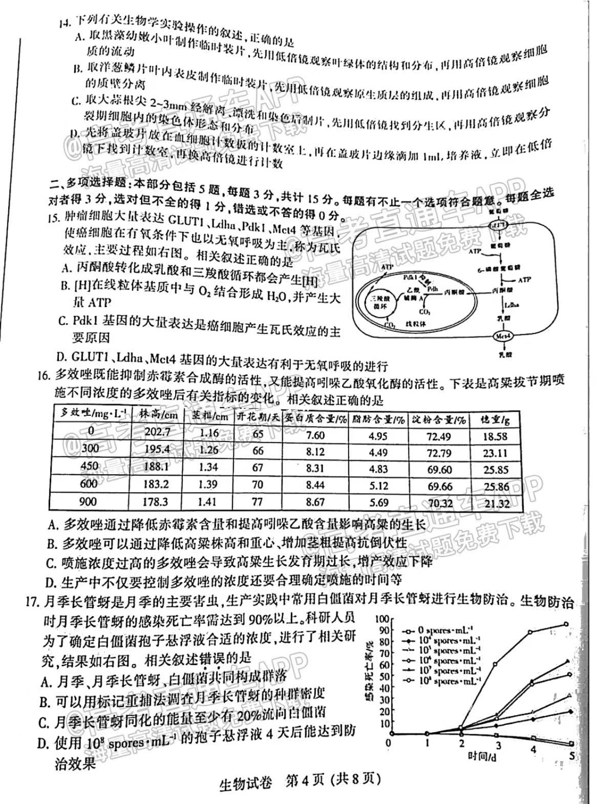 1肖一码100%准澳门