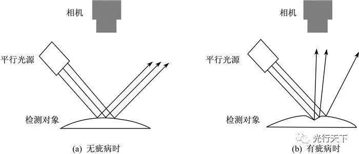 2024年12月25日 第3页