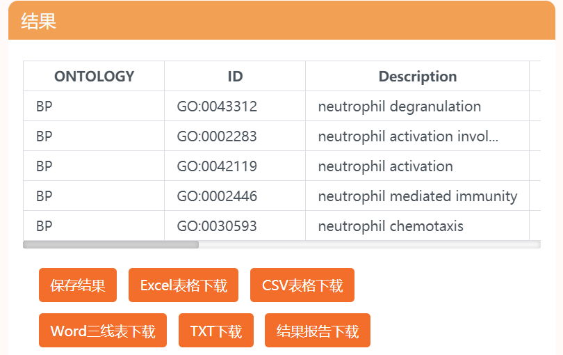 2024年12月26日 第4页