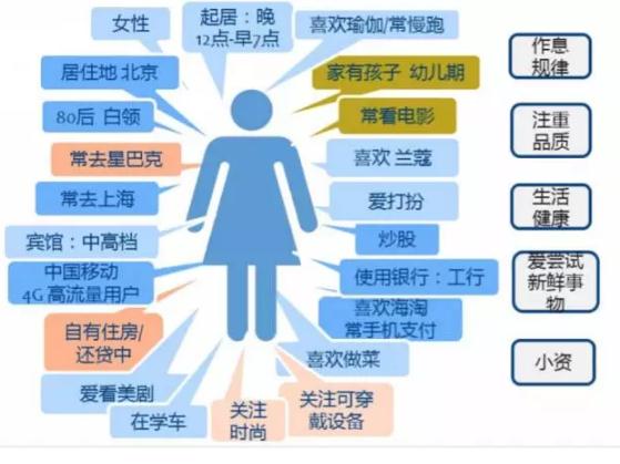 干法制粒设备,干法制粒设备与实地执行分析数据的应用,安全性策略评估_P版33.89.22