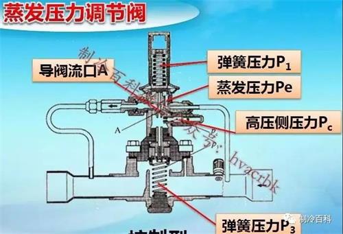 2024年12月28日 第10页