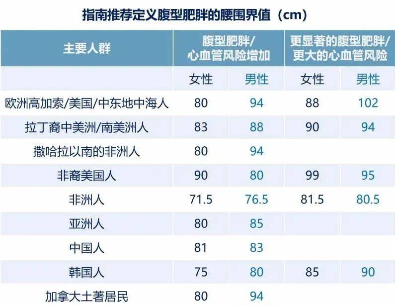 健康营养的减肥,健康营养的减肥，动态说明分析与实践指南,定性解析评估_3DM67.77.88