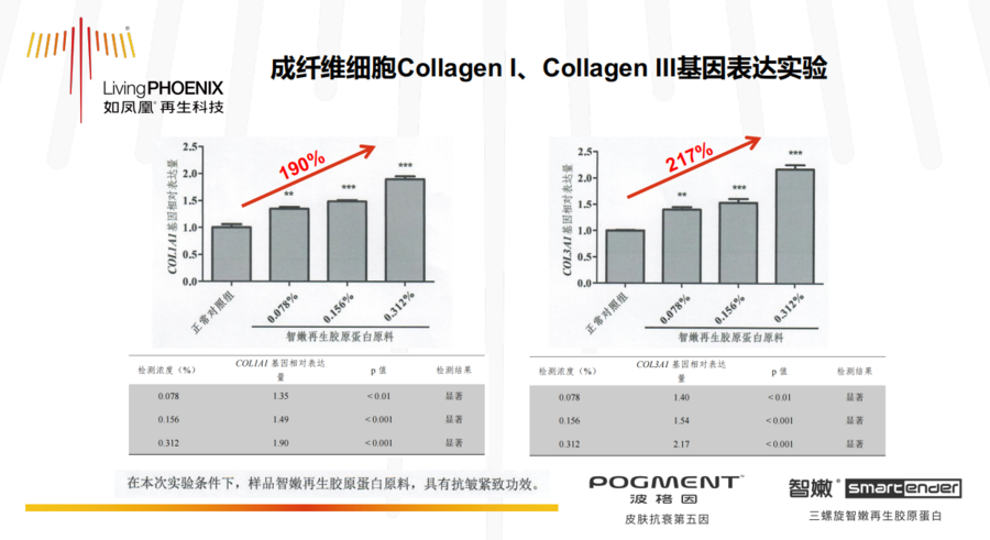 再生胶强度,再生胶强度与深入设计数据解析，探索未来的材料科技之光,实地设计评估解析_高级版65.57.46