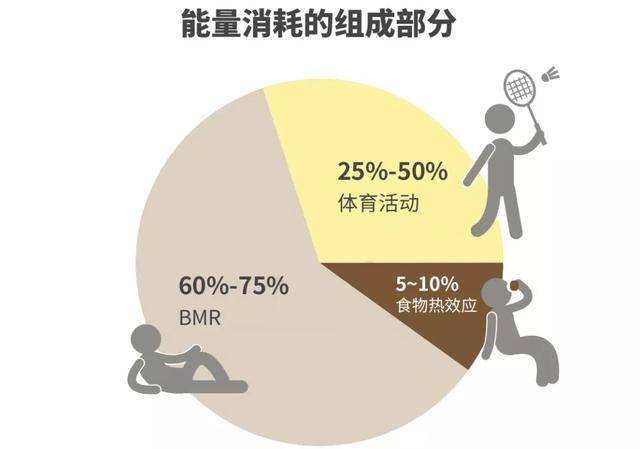 代谢慢怎么减肥效果最好