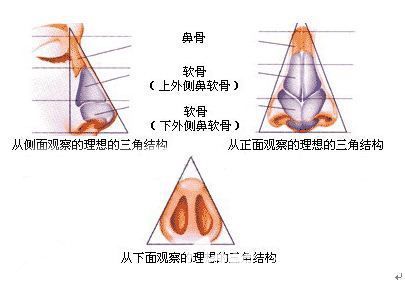 综合鼻多久完全恢复自然