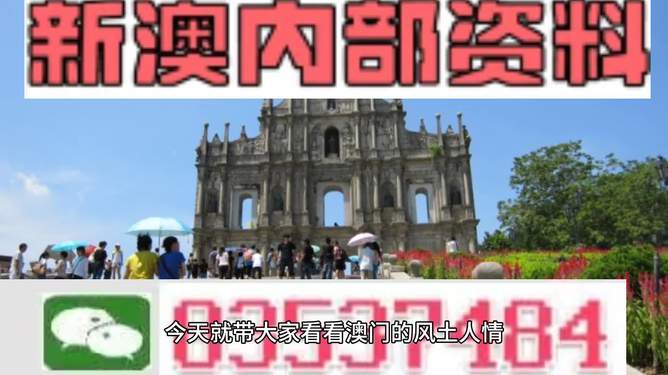 2024新澳天天资料免费大全,探索未来，新澳天天资料免费大全与灵活性方案实施的评估轻量版,可靠执行计划策略_set69.94.39