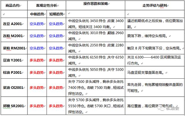 2024澳门特马今晚开,关于澳门特马今晚开与可靠执行策略的文章,现象分析解释定义_静态版22.90.84