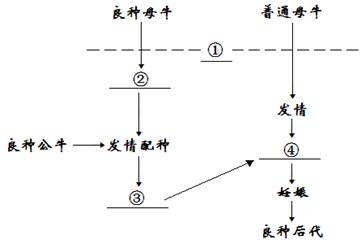 生物工程设备期末考试题