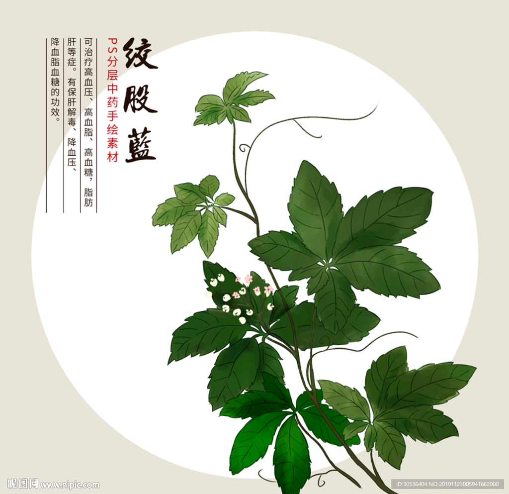 中草药图片