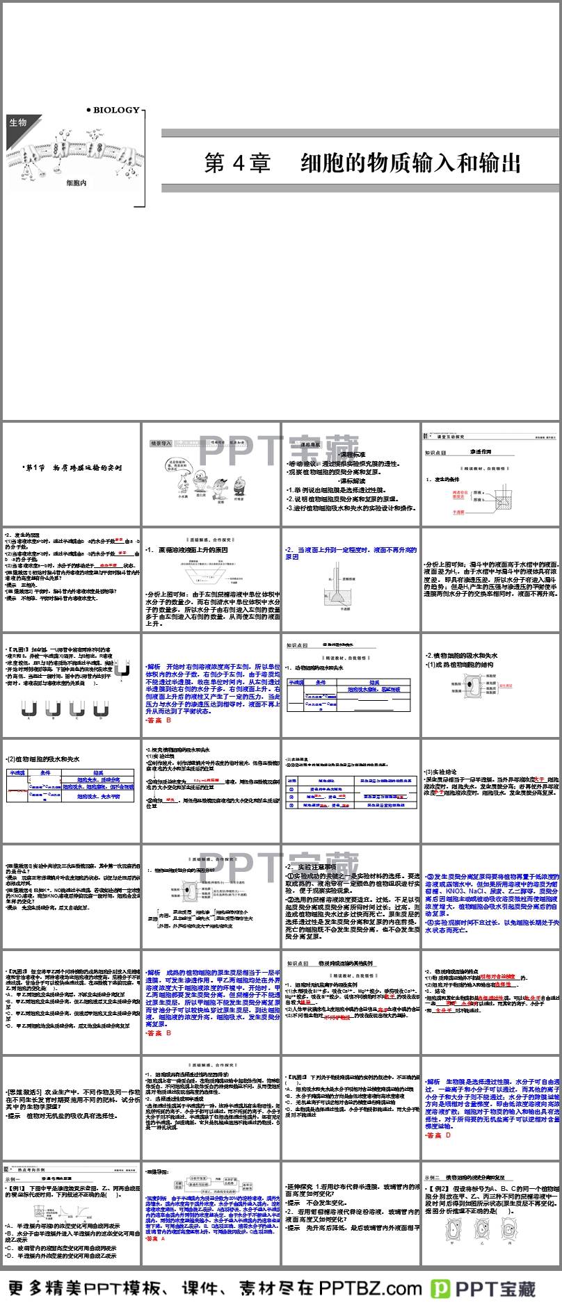 成膜物质的主要作用