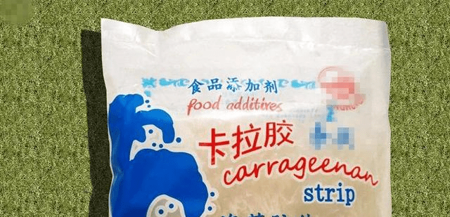 食品包装与合成树脂研究所招聘