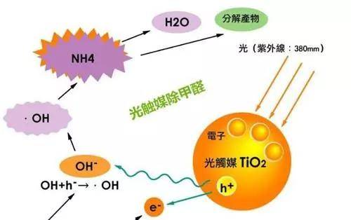 标准化流程与网红版应用探索