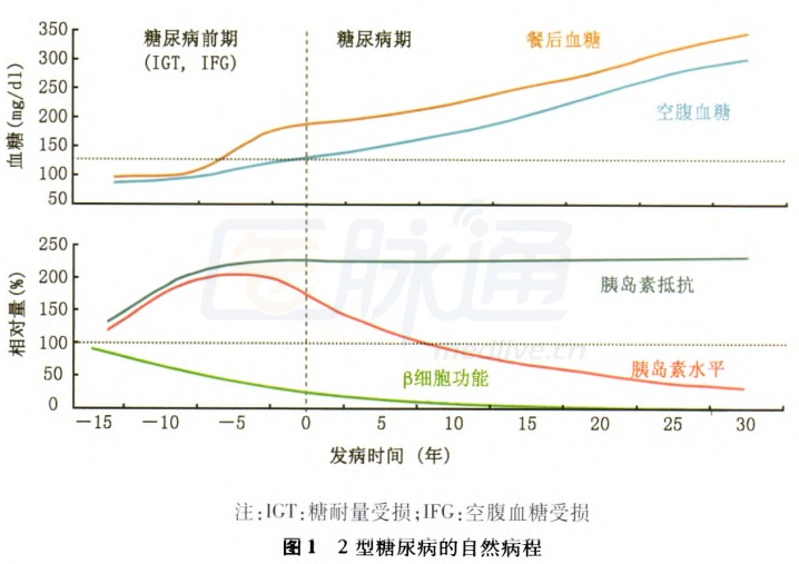 持续解析方案（或专家分析解释定义）