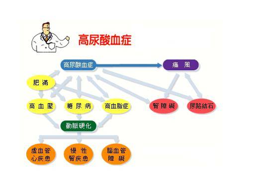 操作策略方案（或实时解析说明）