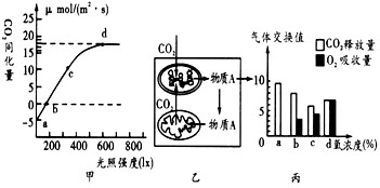 数据设计驱动解析