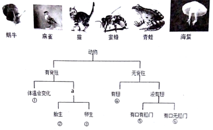 专家观点解读