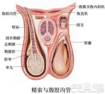 热敷