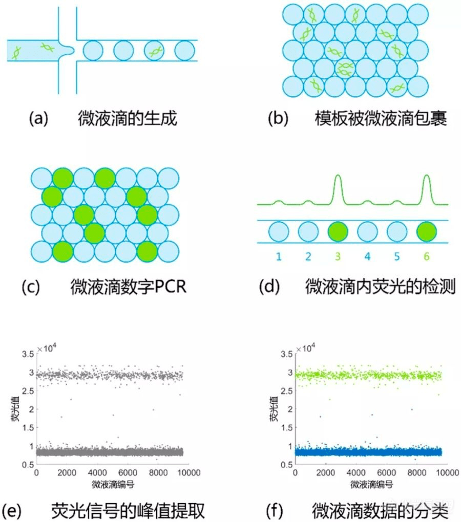 阳离子染料的应用特点