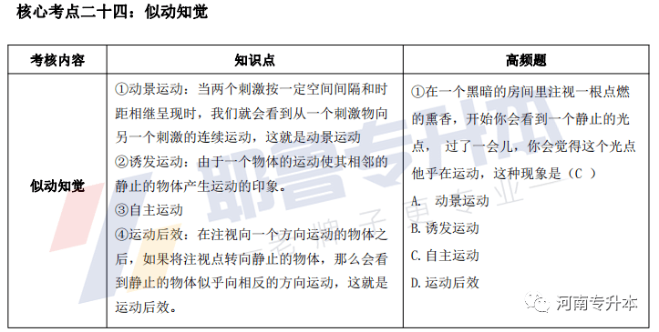 实时更新与解析数据