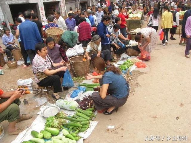 南川中图村今年种粮赚了54万元