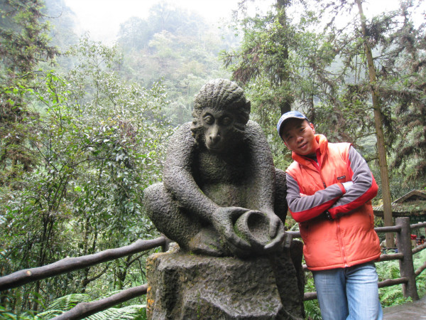 四川一地上百只猴子成群毁庄稼