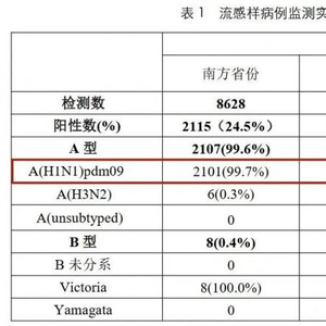 目前流感病毒99%以上为甲流