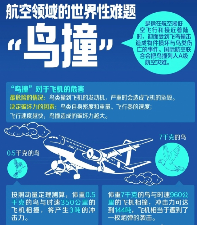 西藏航空一航班突然返航 官方通报