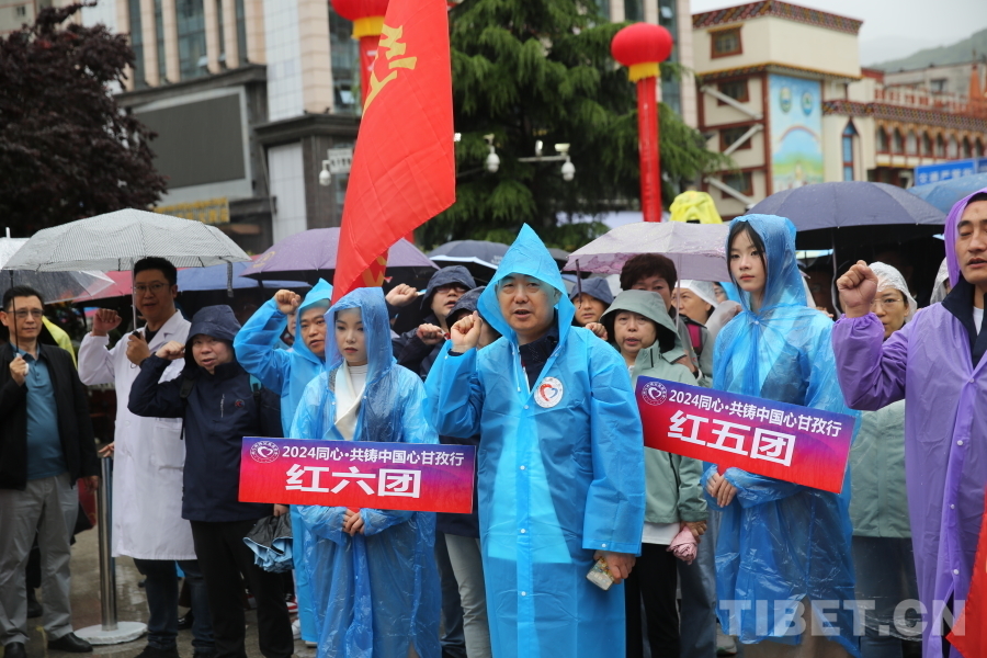 韩红带医疗志愿者驰援西藏