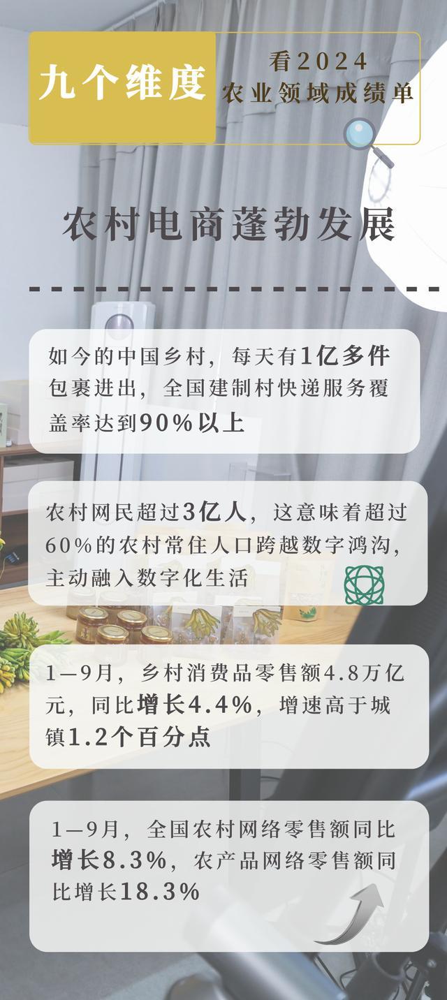 亮眼成绩单