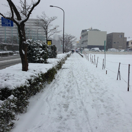 日本东北部遭遇十年一遇大雪