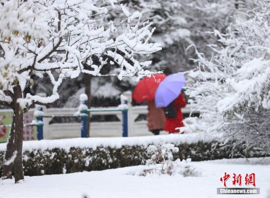 韩国大雪民众依然聚集不愿离去