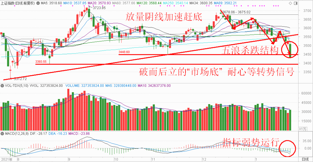 新澳门特波