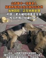 犬撕咬去世