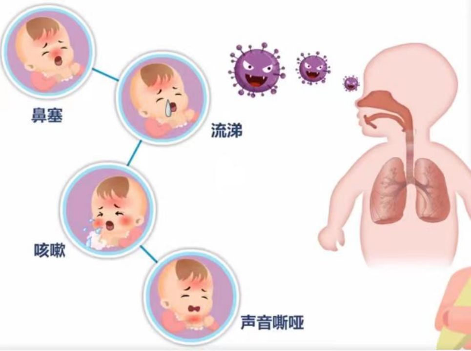 这两个关键词能够简洁明了地概括您给出的内容