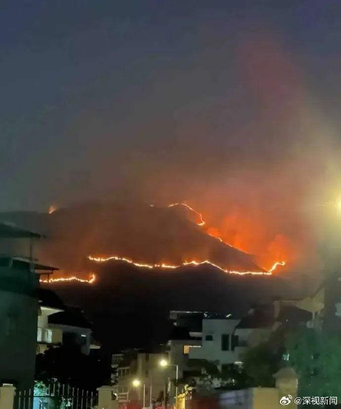 香港元朗山火已受控 无人员受伤报告